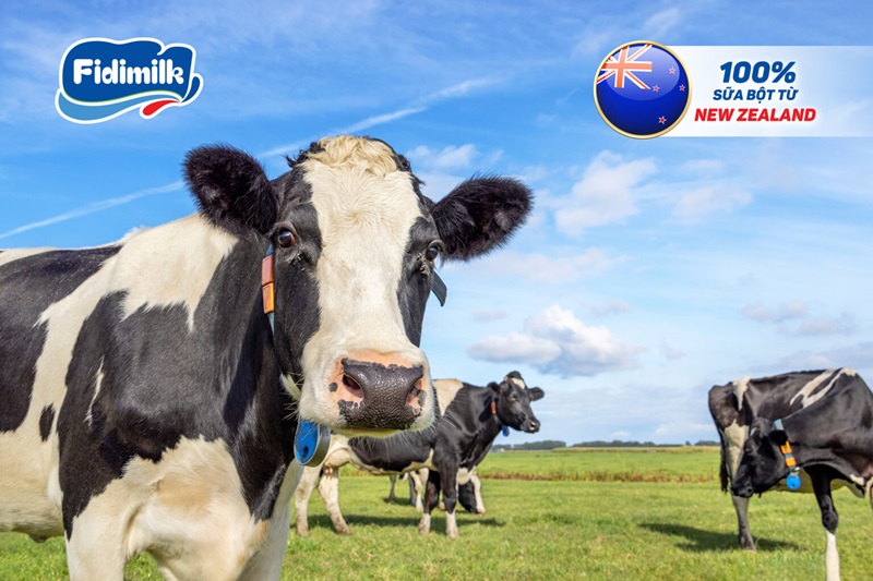 fidimilk-giai-phap-dinh-duong-toan-dien-cho-tre-3